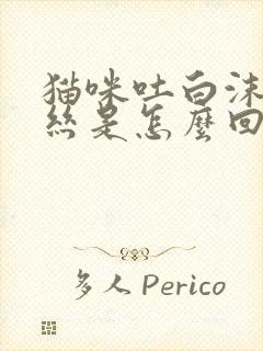猫咪吐白沫带血丝是怎么回事