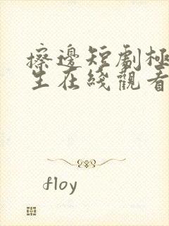 擦边短剧极品人生在线观看