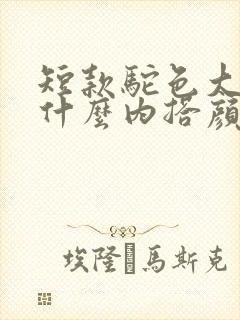 短款驼色大衣配什么内搭颜色好看