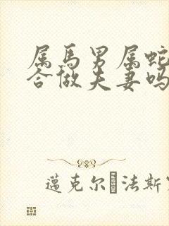 属马男属蛇女适合做夫妻吗