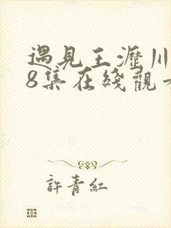 遇见王沥川第38集在线观看