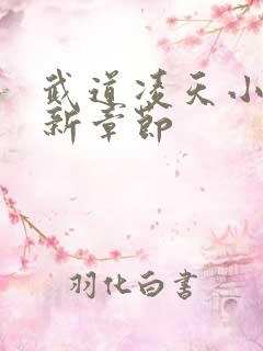 武道凌天小说最新章节