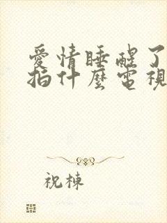 爱情睡醒了是翻拍什么电视剧