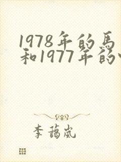 1978年的马和1977年的蛇相配吗