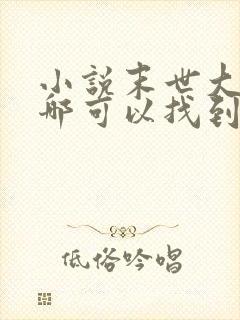 小说末世大回炉哪可以找到