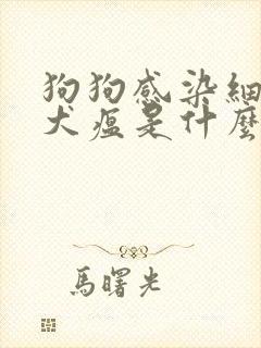 狗狗感染细小和犬瘟是什么症状