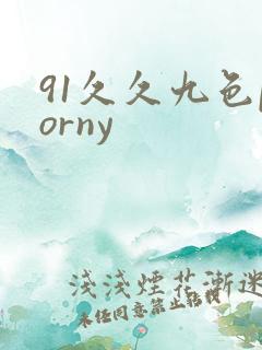 91久久九色porny