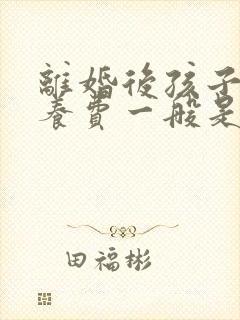 离婚后孩子的抚养费一般是多少钱