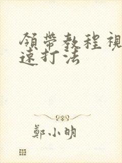 领带教程视频快速打法