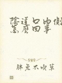 阴道口内侧发红怎么回事