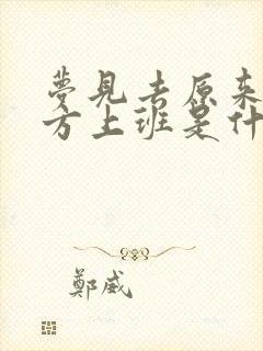 梦见去原来的地方上班是什么意思