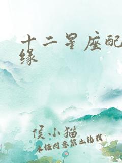 十二星座配对姻缘