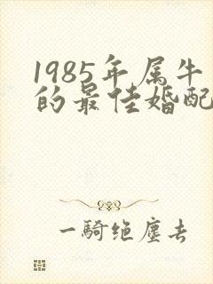 1985年属牛的最佳婚配属相