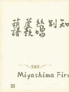 葫芦丝别知己简谱教唱