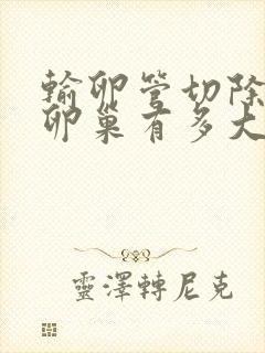 输卵管切除会对卵巢有多大影响