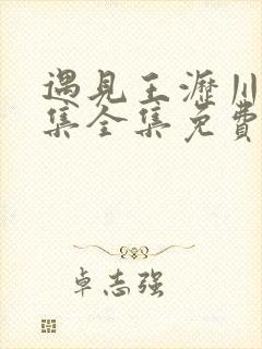 遇见王沥川38集全集免费高清