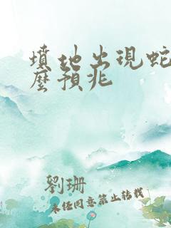 坟地出现蛇是什么预兆