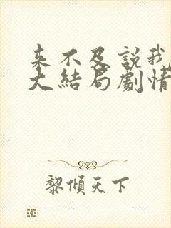 来不及说我爱你大结局剧情介绍