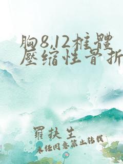 胸8,12椎体压缩性骨折严不严重