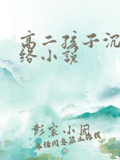 高二孩子沉迷网络小说