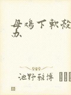 母鸡下软壳蛋咋办