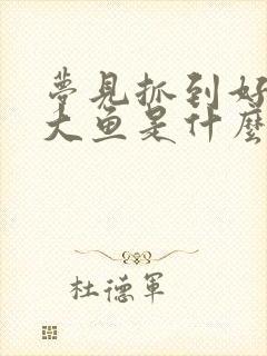 梦见抓到好几条大鱼是什么征兆