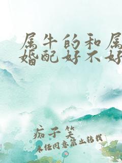 属牛的和属蛇的婚配好不好