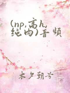 (np,高h,纯肉)音频