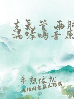 支气管 两肺布满哮鸣音原因