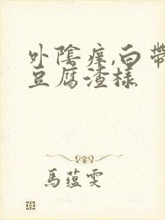 外阴痒,白带黄豆腐渣样