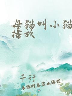 母猫叫小猫声音播放