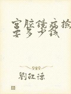 宫腔镜病检查需要多少钱