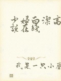 少妇白洁高义小说在线