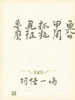 梦见抓甲鱼是什么征兆周公解梦