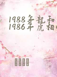 1988年龙和1986年虎相配吗