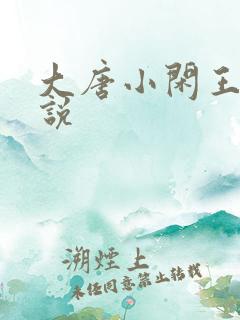大唐小闲王 小说