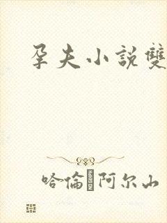 孕夫小说双男主