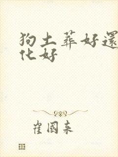 狗土葬好还是火化好