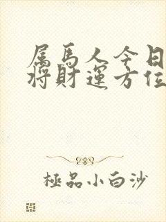 属马人今日打麻将财运方位