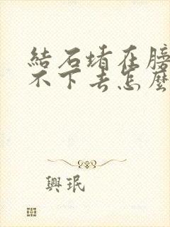 结石堵在膀胱口不下去怎么办