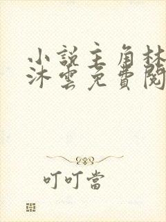 小说主角林皓苏沐云免费阅读