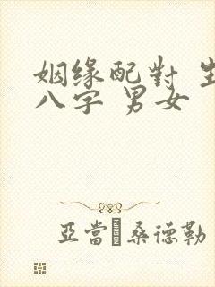 姻缘配对 生辰八字 男女