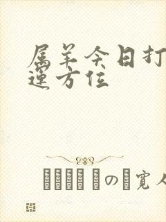 属羊今日打牌财运方位