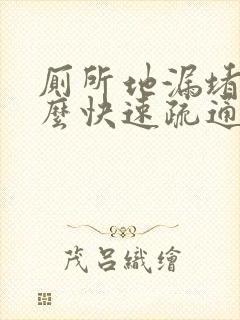 厕所地漏堵了怎么快速疏通