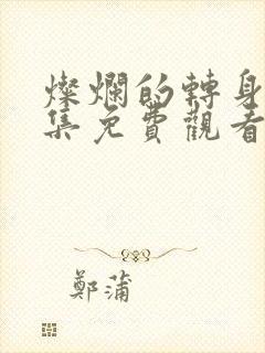 灿烂的转身40集免费观看全集