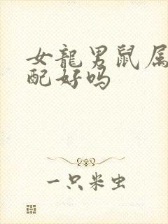 女龙男鼠属相婚配好吗