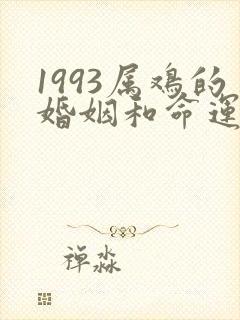 1993属鸡的婚姻和命运如何