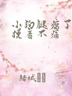 小狗腿瘸了但是摸着不痛