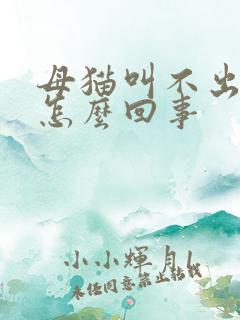 母猫叫不出声是怎么回事