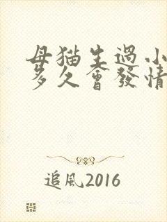 母猫生过小猫后多久会发情